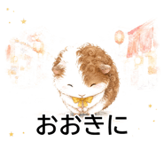 843564633