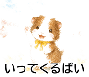 843564673