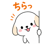 843564785