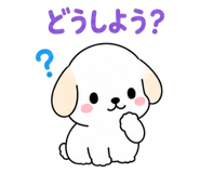 843564813