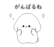 843564888