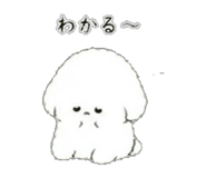 843564890
