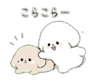 843564896