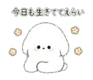 843564897