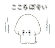 843564904