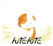 843564969