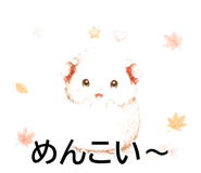 843564971