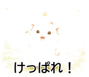 843564972