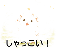843564973