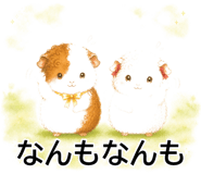 843564974