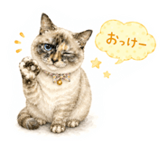 843565045