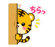 843565144