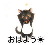 843565201