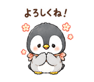 843565245