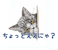 843568850