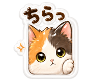 843569010