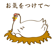 843569052