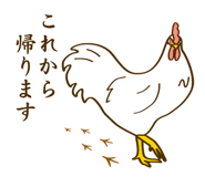 843569053