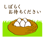 843569056