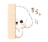 843569119