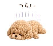 843569394