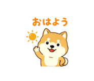 843569537