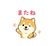 843569545