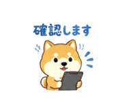 843569553