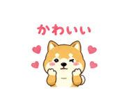 843569556