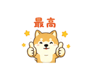 843569558