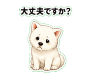 843569611