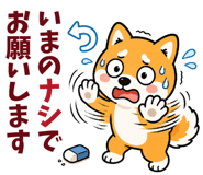 843569706