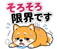 843569712