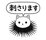 843569753
