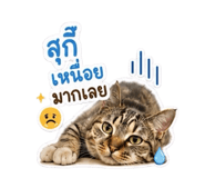 843569958