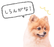 843570425
