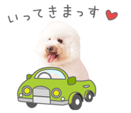 843570582