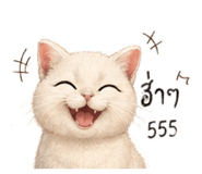 843572059