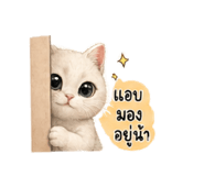 843572079