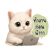 843572080