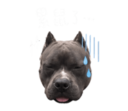 843572769
