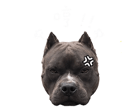 843572771