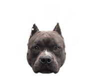 843572772