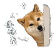 843573079