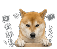 843573085
