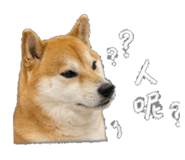 843573086