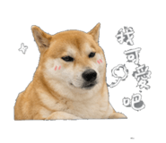 843573087