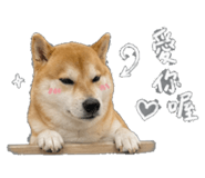 843573088