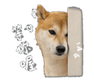 843573089