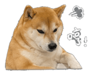 843573091